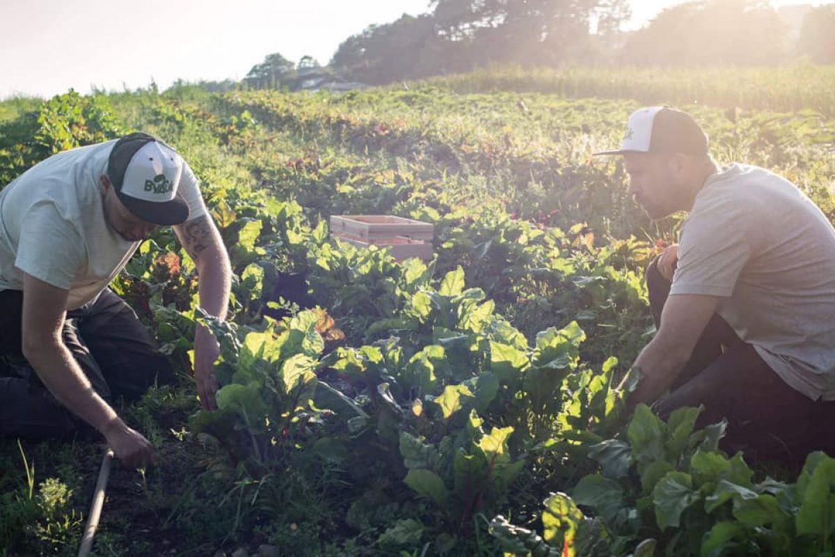 Untitled_Page_14_Image_0001